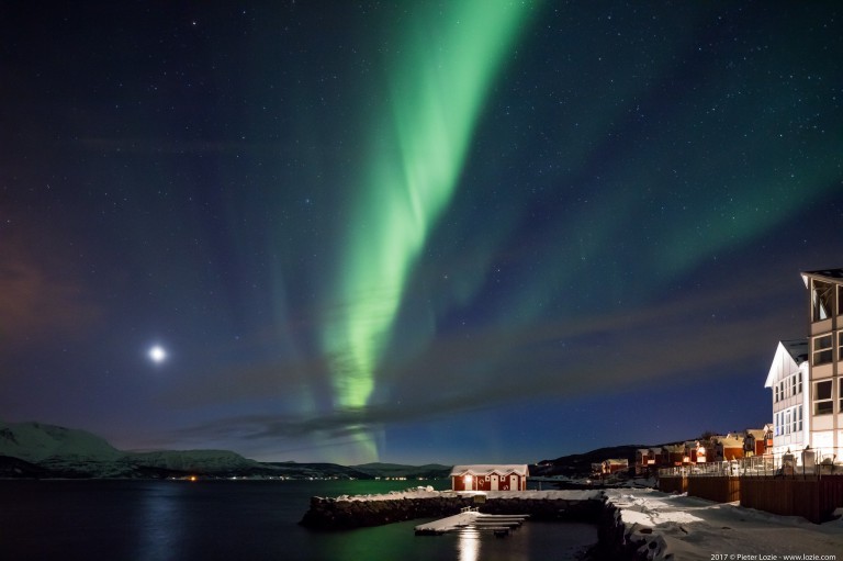 Northern Lights, Malangen, Norway 20170228 7.36pm