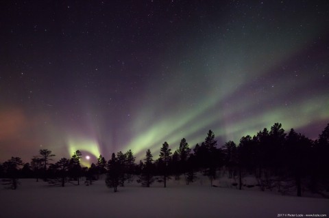 Northern Lights, Malangen, Norway 20170228 8.35pm