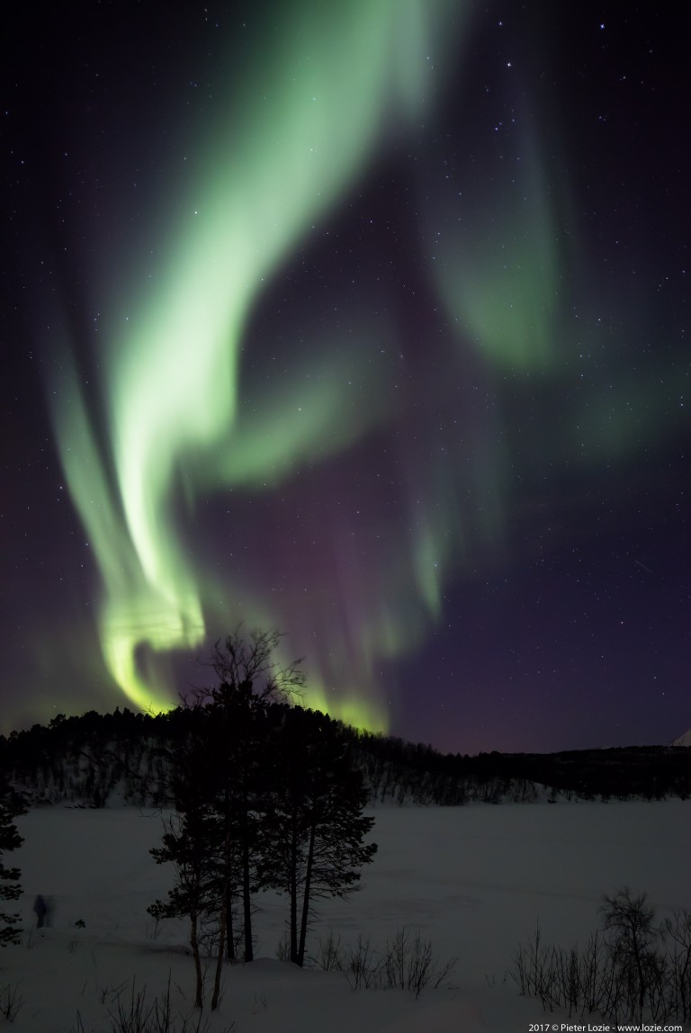 Northern Lights, Malangen, Norway 20170228 9.32pm