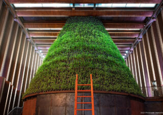 Dutch Pavilion, Expo2020 Dubai, UAE