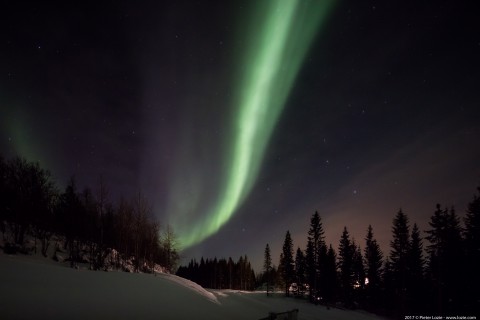 Northern Lights, Malangen, Norway 20170228 7.54pm