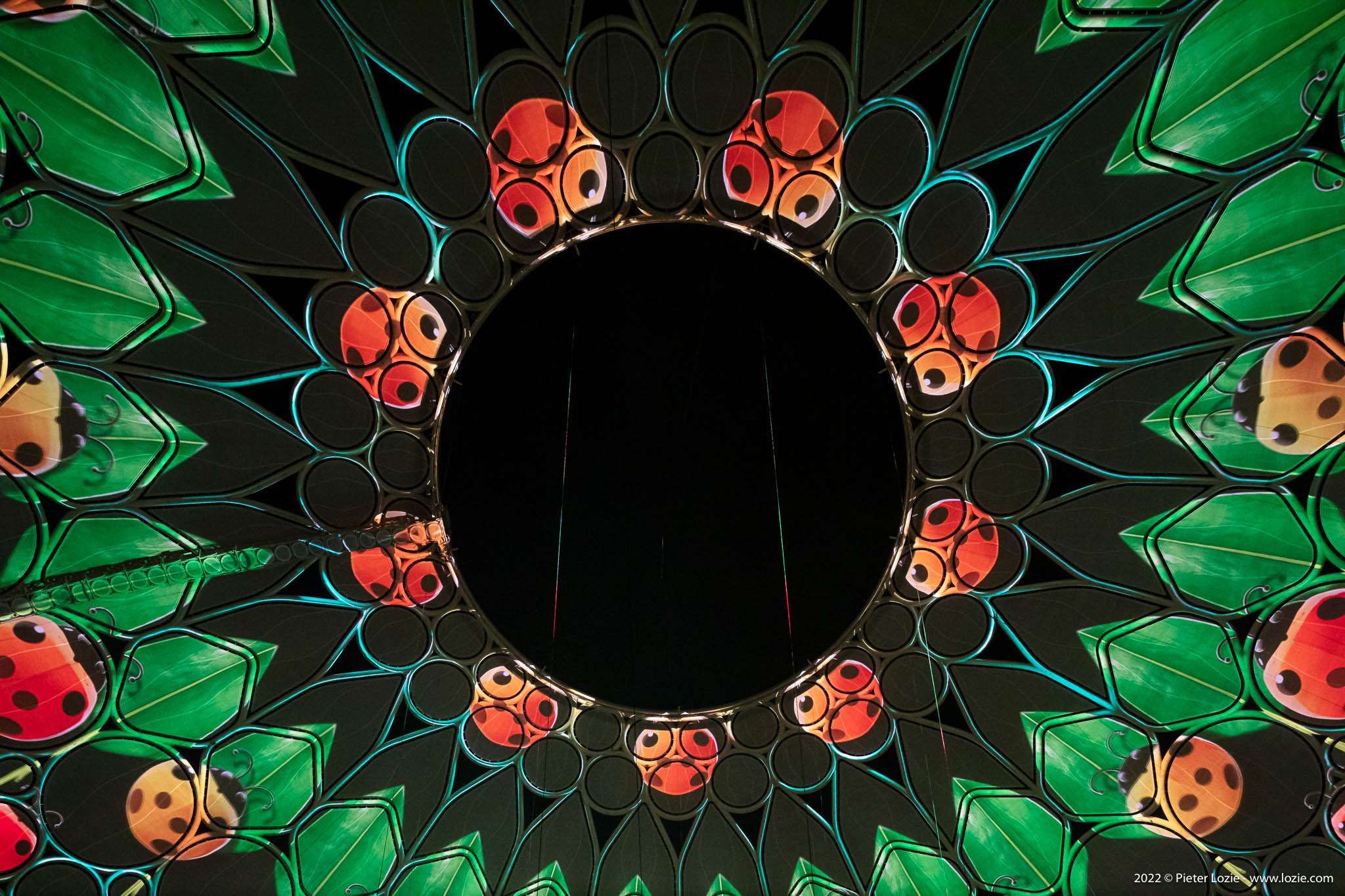 (c)www.lozie.com_Dubai_202201__DSR2909