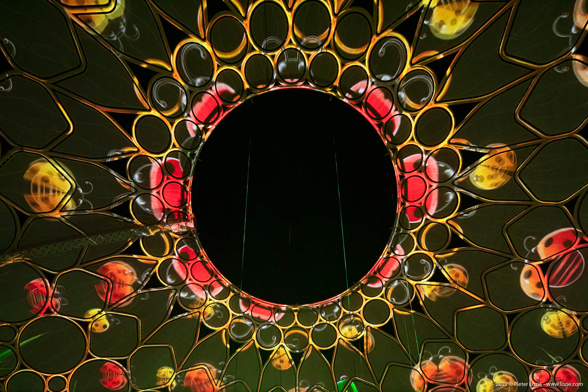 (c)www.lozie.com_Dubai_202201__DSR2911